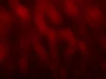 Explore Chaturbate's Kloelamaravilla18 kloelamaravilla18 from Chaturbate